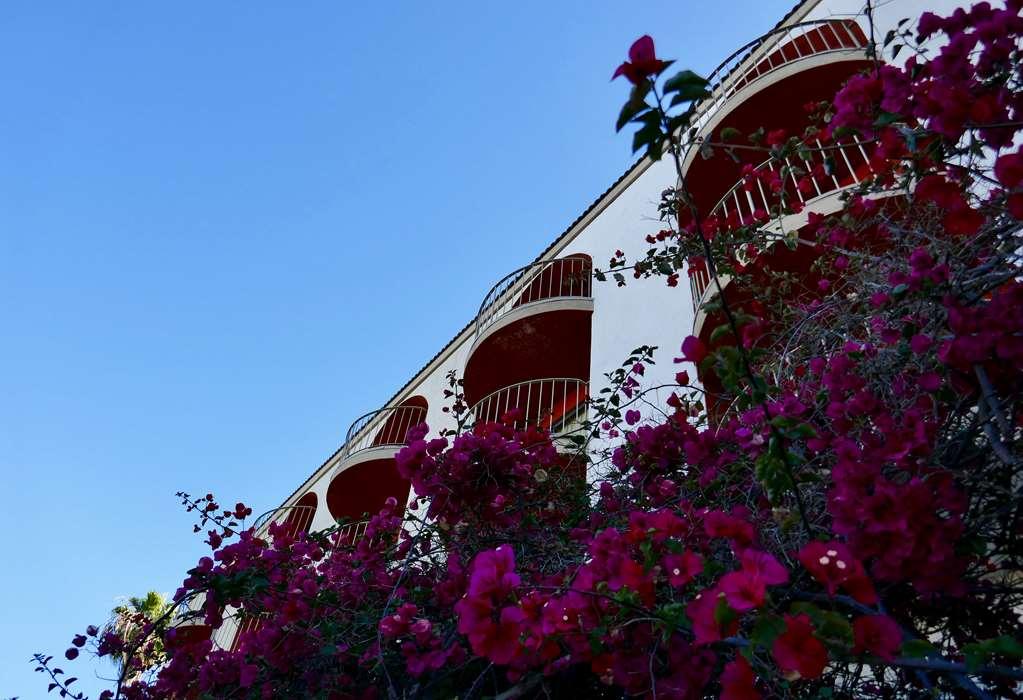 Golden Sails Hotel Long Beach Tiện nghi bức ảnh